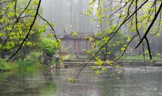 蒙蒙什么成语（蒙蒙什么成语二年级）