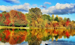 什么华什么实成语（什么华什么实四字成语有哪些成语）