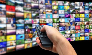 武墨纪琴是什么电视剧（武墨纪琴的电视剧）