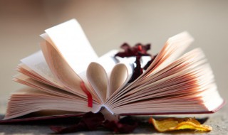 鄙陋怎么读（鄙陋怎么读什么意思）