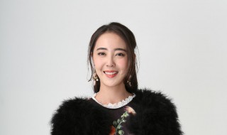 韩丁娟娟是什么电视剧（韩娟是哪一集）