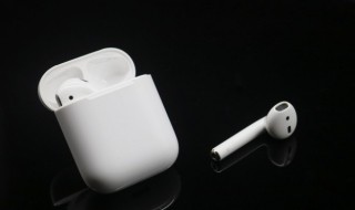 苹果耳机怎么查序列号（苹果耳机怎么查序列号怎么看真假）