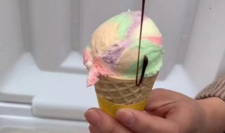 家用冰淇淋机的做法 冰淇淋用冰淇淋机做法