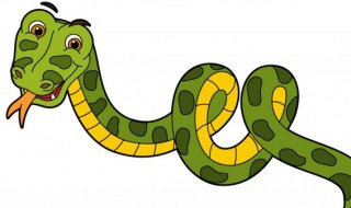 做梦梦到蛇是什么情况 梦里梦见蛇是什么情况