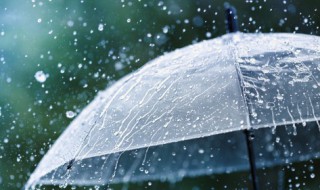 梦见刮大风下大雨是什么意思 梦见刮大风下大雨是什么意思房子漏雨