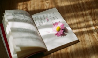 理解词语的方法 理解词语的方法有哪些三年级7种