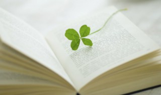 壮的部首怎么读（壮的部首读法）