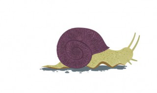 野生蜗牛在家怎么养 野生蜗牛在家怎么养 会不会有不妥