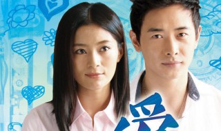 夏楠原野是什么电视剧（夏楠原野是什么电视剧原野生日那集）