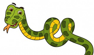 女人梦到大蛇什么意思 女人梦见大蛇什么意思啊