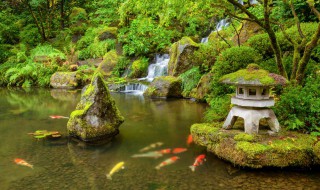 pool怎么读（pool怎么读音发音）