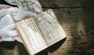 姊妹怎么读 姊妹怎么读音亭亭