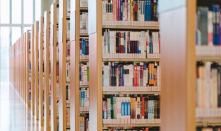 蜍怎么读（蜍怎么读 拼音）