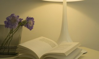 奇点怎么读 奇点怎么读qi还是ji