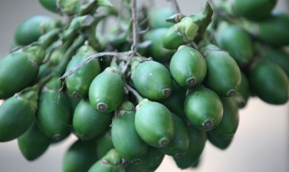 戒槟榔的最有效的方法 戒掉槟榔的方法