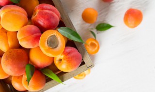 新鲜杏的保质期及保存方法有哪些 新鲜杏的保质期及保存方法有哪些问题
