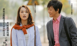 盛开罗耀辉是什么电视剧 盛开罗耀辉电视剧剧情介绍