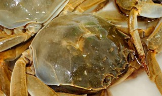 毛蟹保存方法（毛蟹保存方法图片）