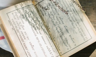 春居古诗意思是什么(春居的诗句是什么)