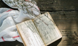 已亥杂诗古诗意思（已亥杂诗古诗意思10字）