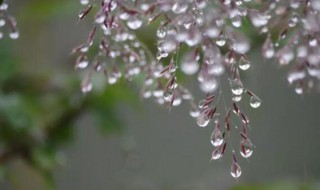 我心深深处中有千千结什么意思(我心深深处 中有千千结)