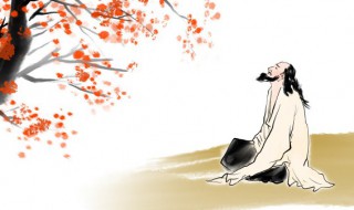 满江红意思全解（满江红 意思）