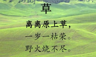 草诗古诗意思 草诗古诗意思是什么