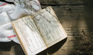 司马懿读音是什么意思 司马懿读音是什么意思啊