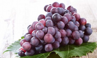 葡萄的修剪方法（棚架葡萄的修剪方法）