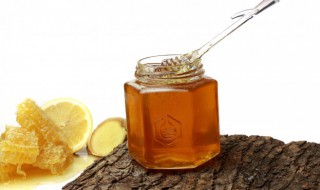 蜂箱刚割下来的土蜂蜜怎么保存（蜂箱刚割下来的土蜂蜜怎么保存呢）