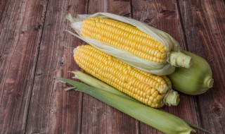 玉米保存只需要一个小方法 玉米保存只需要一个小方法吗
