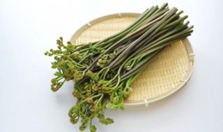 蕨菜保存方法有哪些 蕨菜保存方法有哪些呢