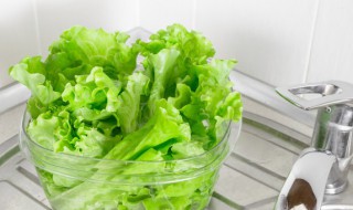 生菜种子没泡水种下能发芽吗 生菜种子没泡水种下能发芽吗视频