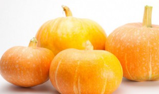 如何留南瓜籽做种子 如何留南瓜籽做种子呢