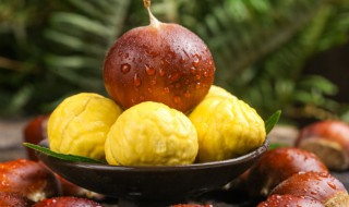 板栗相克食物不能和什么一起吃（板栗不可以和什么一起吃）