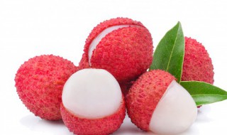 荔枝和西红柿可以一起吃吗（荔枝和西红柿能一起吃吗）