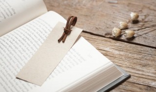 成语善善恶恶是什么意思（成语善恶什么什么）