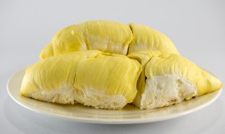 茄子能否和榴莲一起吃（茄子能否和榴莲一起吃呢）