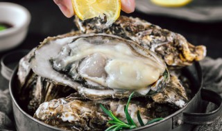 牛奶和生蚝能否一起吃（牛奶能和生蚝一起吃吗）