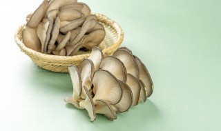 山药和蘑菇能否一起吃（山药和蘑菇可不可以一起吃）