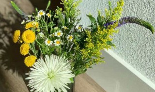 洋甘菊怎么做干花 洋甘菊怎么做干花视频