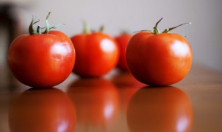 海参和西红柿能一起吃 海参能和西红柿在一起吃吗