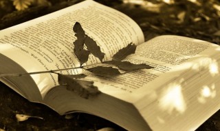 考研祝福语录经典短句 考研祝福语录经典短句图片