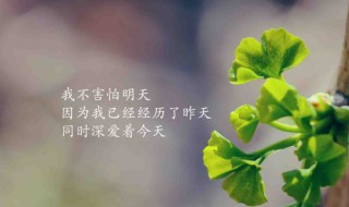 激励自己拼搏的句子（激励自己拼搏的句子图片）