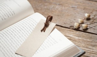 草房子主要人物介绍（草房子主要人物介绍和成长过程）