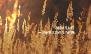 女生正能量心语句子（女生正能量心语句子简短）