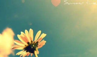 关于生活的优美句子(休闲放松适合发朋友圈的句子)