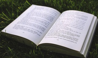 2021有哪些比较火的正能量奋斗的句子 2021有冲劲的正能量句子