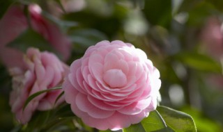 三月祝福语简短（三月祝福语简短四字）