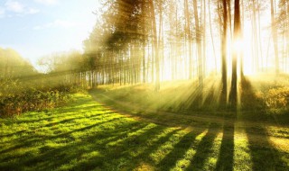 祝别人考研上岸怎么说 祝别人考研上岸的句子